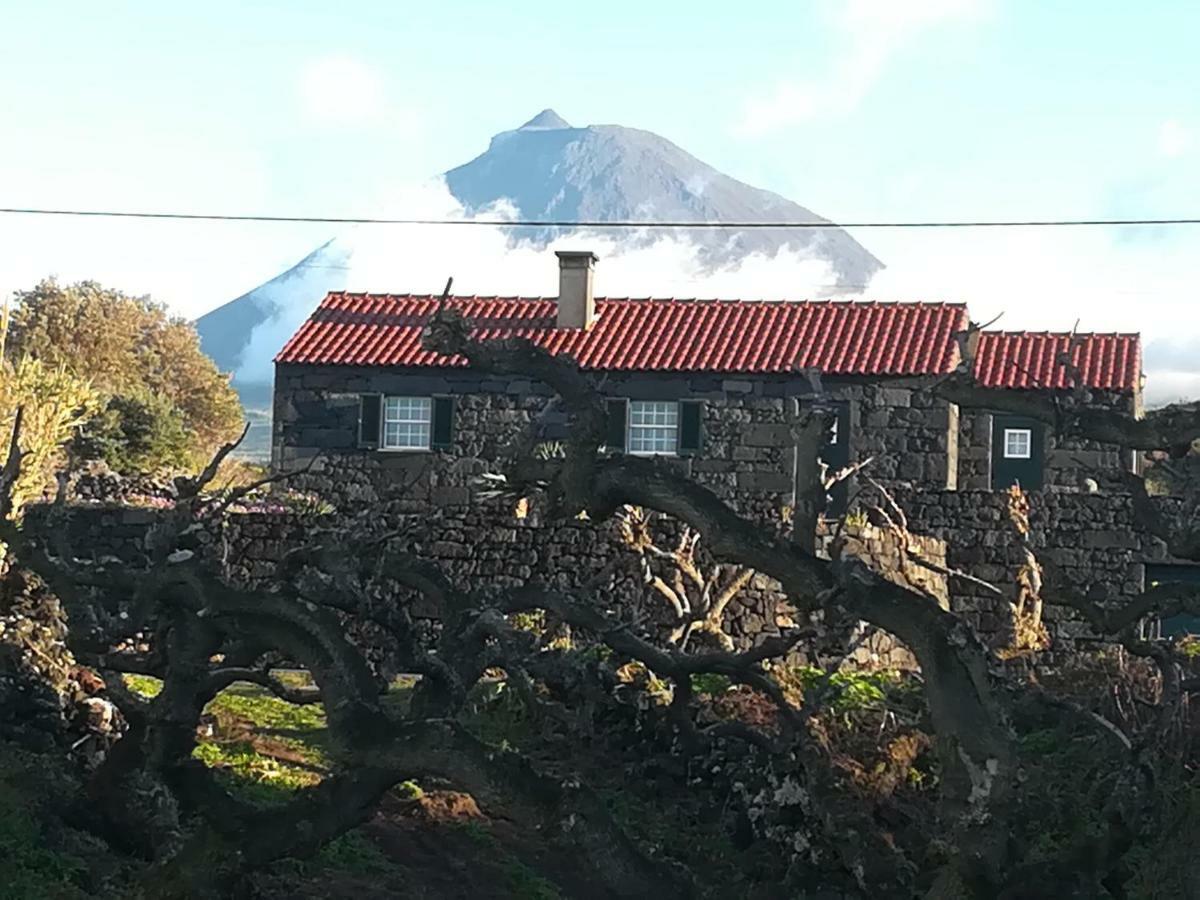 A Casa Da Formosinha Villa Madalena  Exteriör bild
